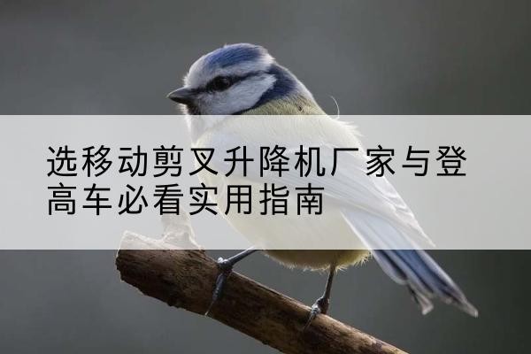 朔州电动升降机厂家-选移动剪叉升降机厂家与登高车必看实用指南