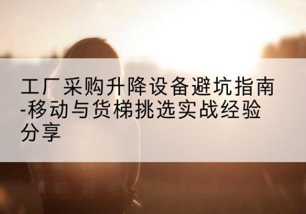 朔州移动式升降机怎么选-工厂采购升降设备避坑指南-移动与货梯挑选实战经验分享