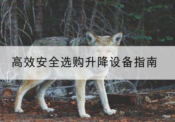 朔州升降货梯厂家推荐-*安全选购升降设备指南