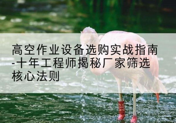 朔州剪叉式升降机厂家-高空作业设备选购实战指南-十年工程师揭秘厂家筛选核心法则